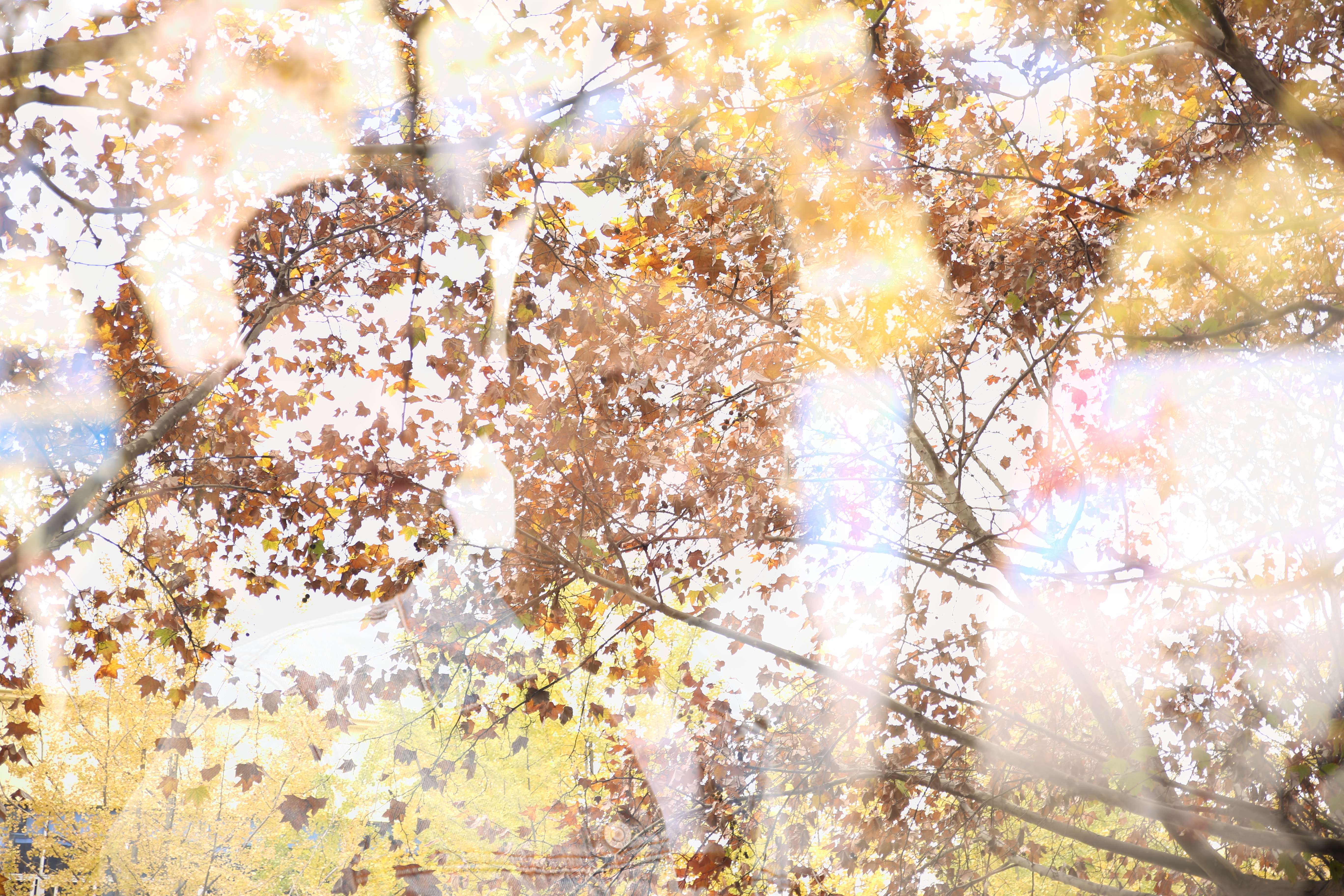 成都有实力的广告策划公司